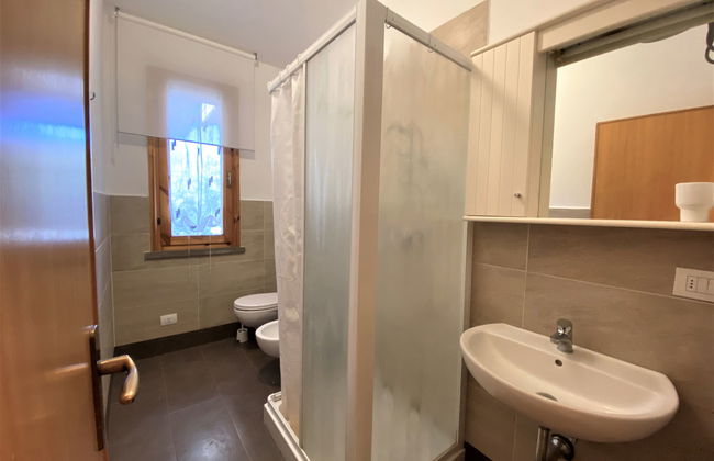 Pineforest - Foto 17