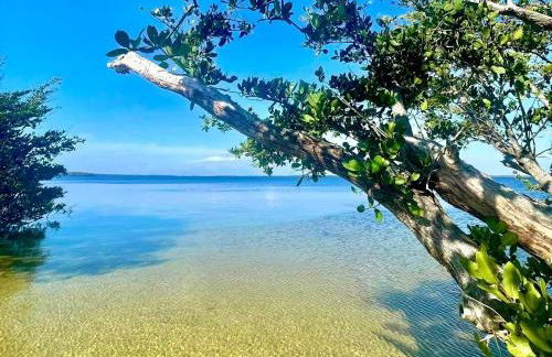 Island Paradise Awaits You - Foto 69