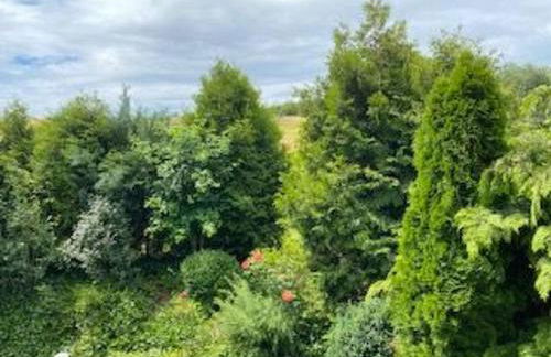 Apartment Taunustraum by Interhome - Foto 32