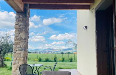 PalmHouse Cristian - Foto 14