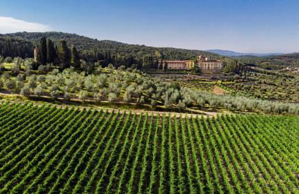 Casa Villa Rentals by Torre a Cona - Foto 10