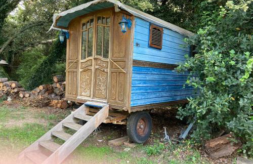 Cabane de la leque - Foto 26