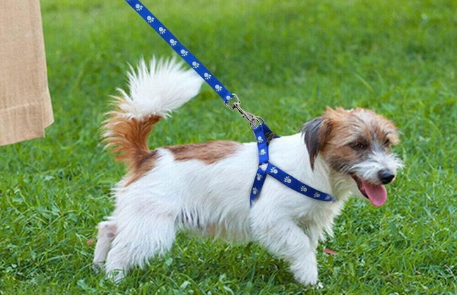 120th Avondale - Foto 26