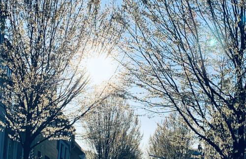 zehuus - historischer Charme - Photo 22