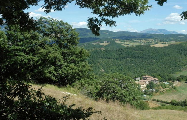 Timeless Holiday Home in Apecchio With Garden - Photo 57