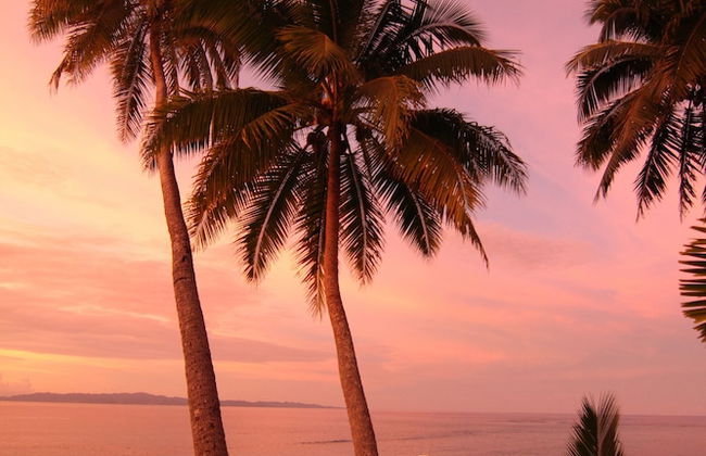 Taveuni Palms - Photo 70
