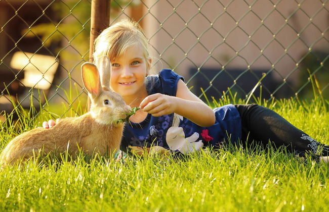 Hilson Jasna Apartments - Foto 18