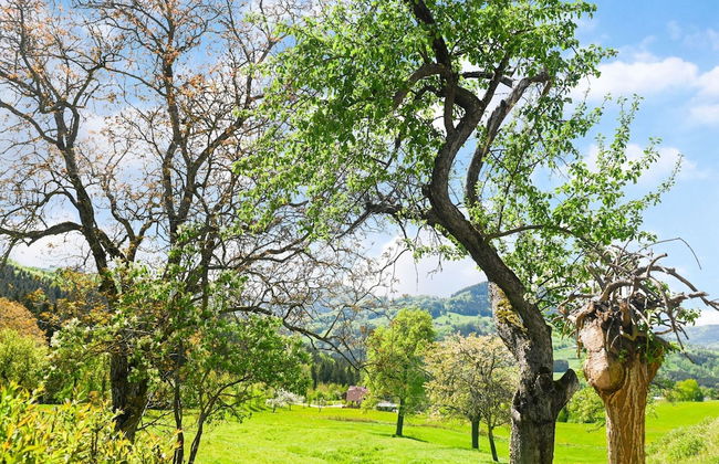Loft-like Apartment With Swimming Pond - Photo 20