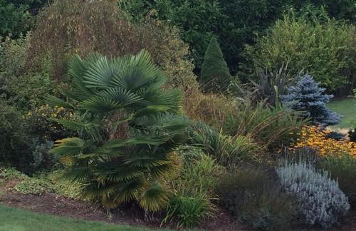 Logis de Ponthus - Foto 35