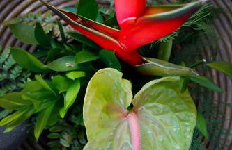 Dazkarizeh73 - Photo 45