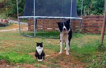 Vila Bella Vista - Foto 11