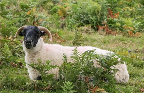 Heathfield - Foto 35