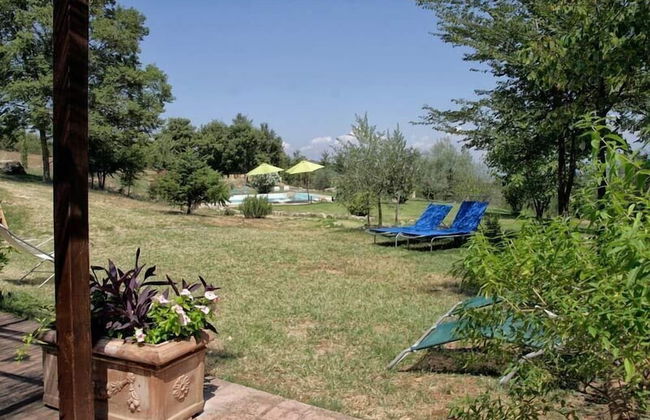 Agriturismo Casa Greppo - Il Mandorlo - Foto 37