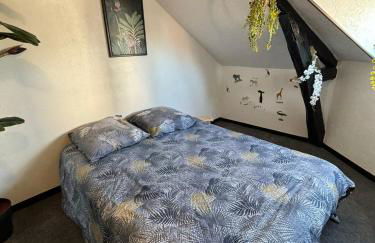 Jungle Cosy - Foto 39