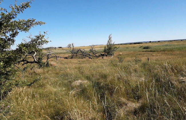 6 Person Holiday Home in Veslos-by Traum - Foto 5