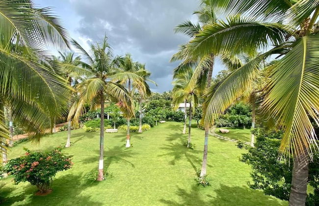 Narayani Revtree - Resort & Villa - Foto 34