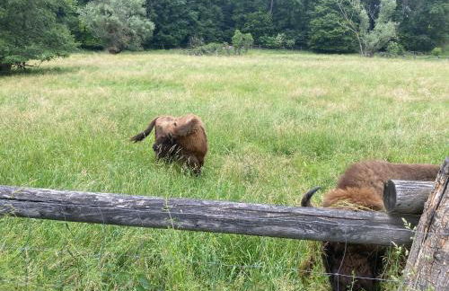 Ferienhaus am Schlossberg in Ranis - Foto 35