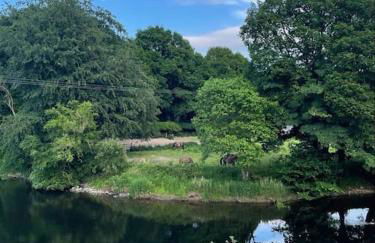 Riverside Retreat - Photo 59