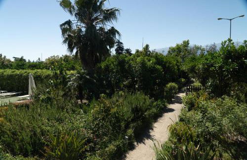 Green Orange Villa near Platanias - Photo 35