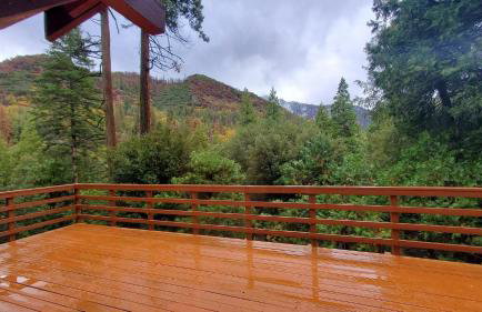 Redwood Retreat, Mountains, Adventure and Nature - Foto 27