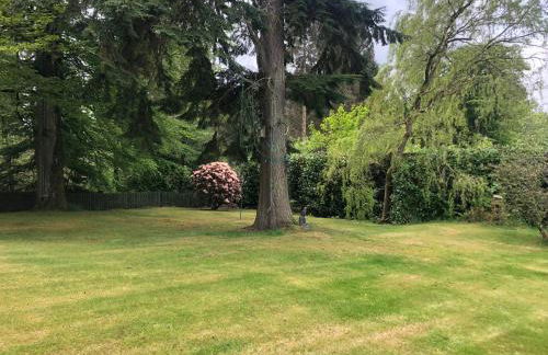 Craigie dhu, guest house - Photo 43