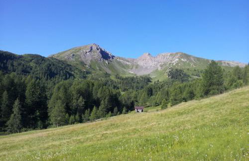 Appartamenti Dany - Foto 49