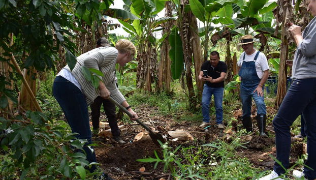 Aprendiendo el proceso de cultivo del plátano