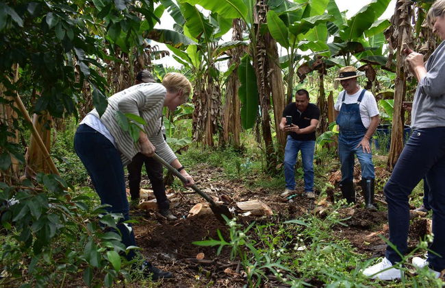 Pereira Excursion + Banana Farm Visit - Foto 3