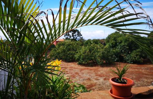 Pino Redondo - Foto 44