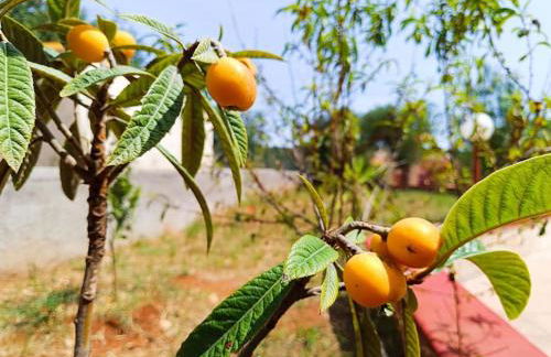 Villa Vento del Sud - Foto 25