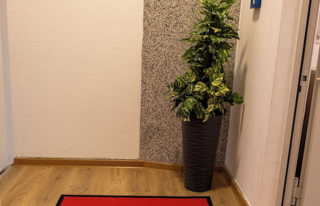 HLN APARTMENTS - Foto 9