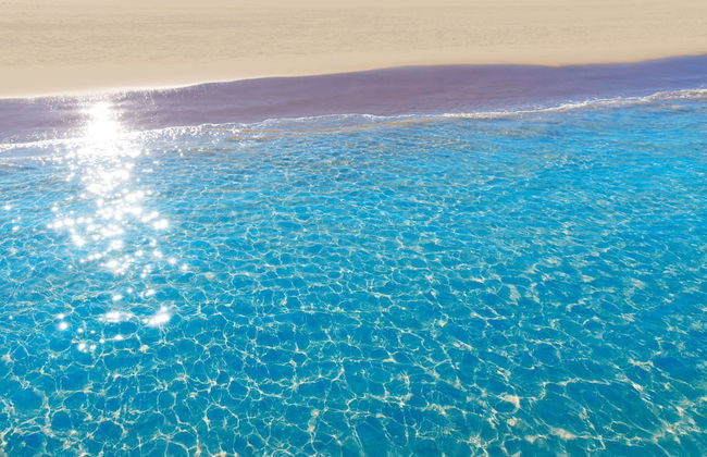 Gourmet in Grau i Platja - Foto 22