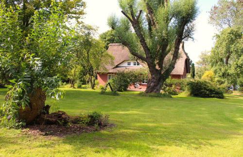 Reetdachhaus direkt am Wasser - Foto 31