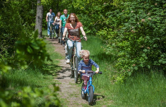 Detached Villa with 4 Bathrooms near Vrachelse Heide - Photo 26