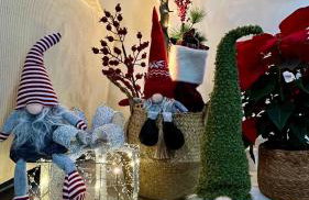 Wehostcostaluz Le Petit Palace Catedral con parking gratuito - Foto 80