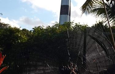 Olinda sítio Histórico Alto da Sé - Photo 77