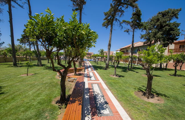 Omega Platanias - Foto 65