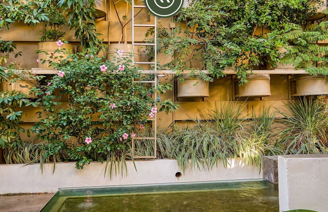 The Ava 605 in Jalisco - Foto 50