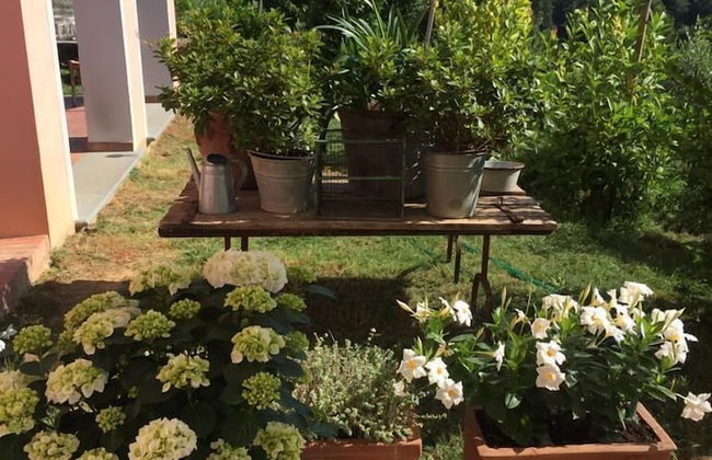 Agriturismo Monte a Pescia - Foto 29