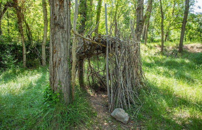 La Casa de Los Moyas - Foto 56