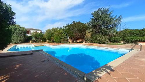 Flamingo's Home - Foto 3