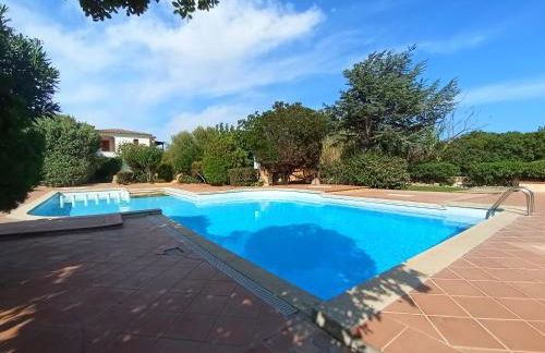 Flamingo's Home - Foto 6