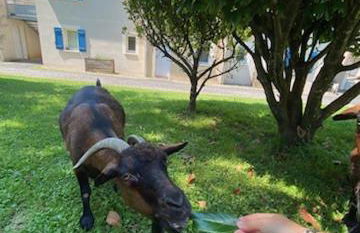 Appartement T3 Goélia - Photo 9