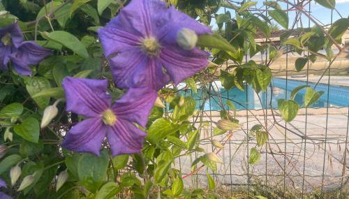 Repli des 3 ponts - Foto 5