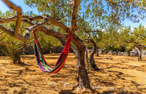 Island Getaway - Heritage House - Photo 53