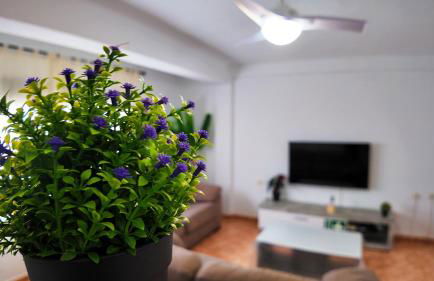 Apartalux Zen Pacific - Foto 19