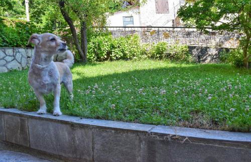 The House with the Hydrangeas - Foto 29