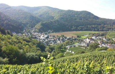 Ahrtal Vier Sterne Ferienwohnungen Alexandra Weiler Ferienwohnung Harmonie - Foto 22