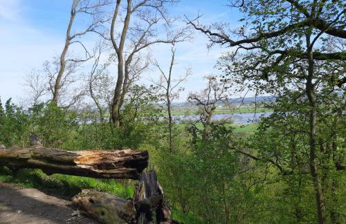 Kawalerka za Świeciem - Foto 23