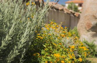 Le Maree Apartments - Foto 12